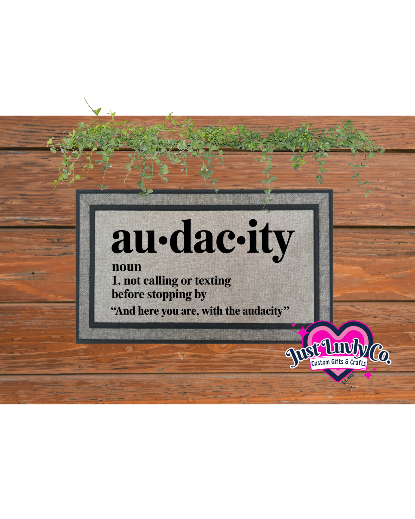 Au*dac*ity Doormat
